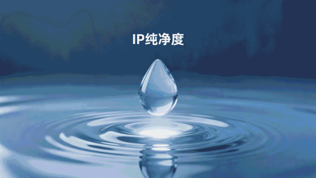 什么是IP纯净度？