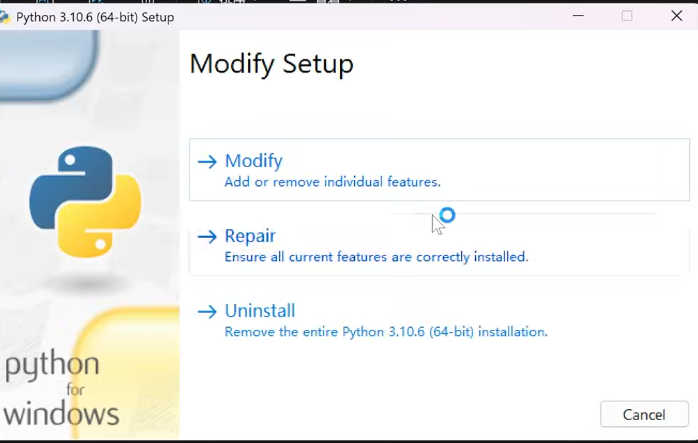 Python 安装设置界面