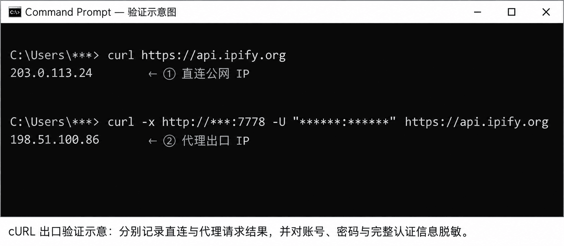cURL直连与通过代理查询公网出口IP的终端结果对比示意